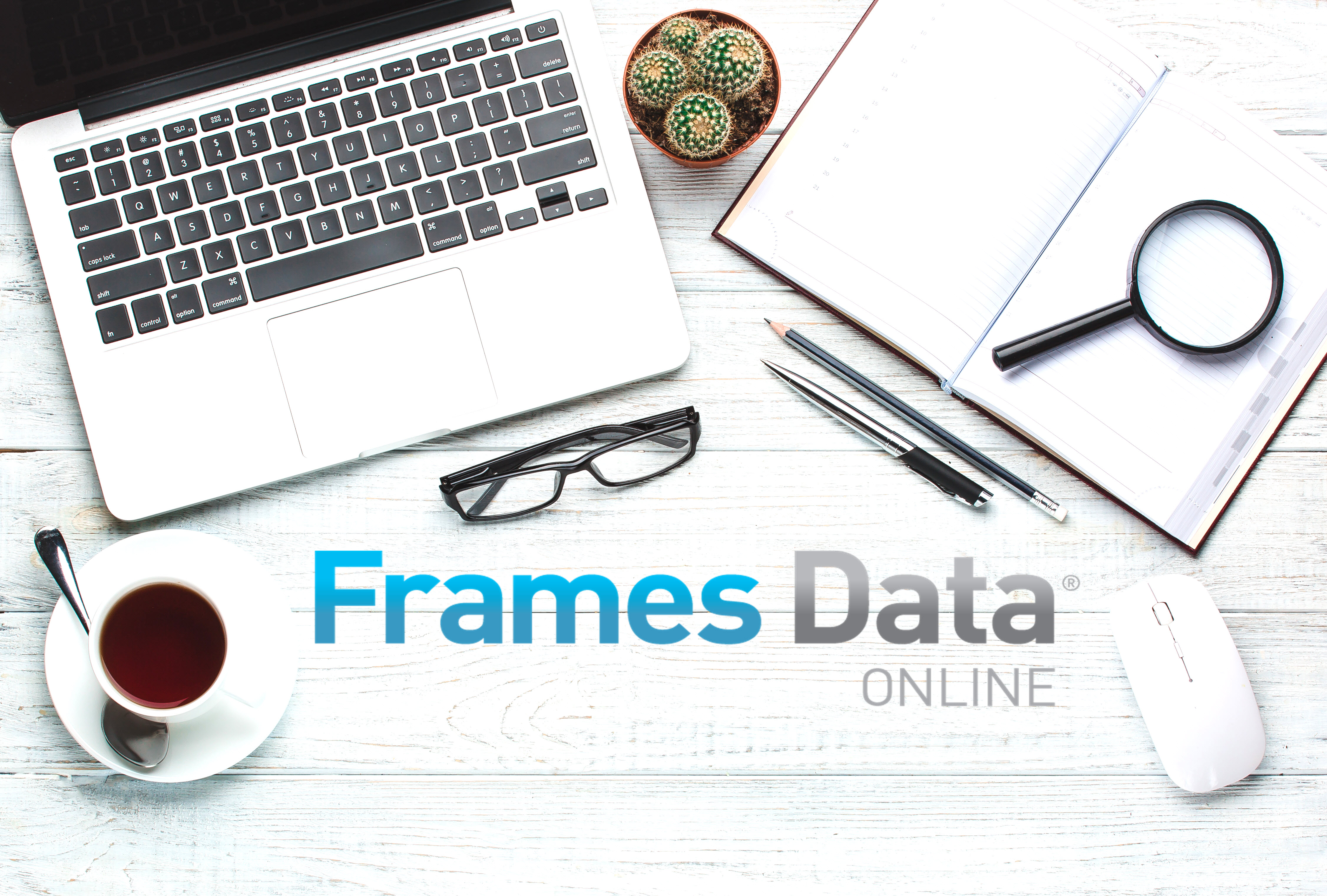 Take a Tour of Frames Data Online